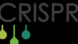 world's first designer babies crispr logo