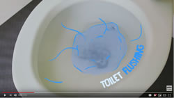 toilet tech