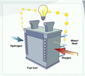 hydrogen fuel cell