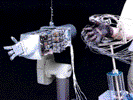 Exoskeleton Bionics