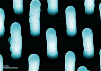 Array of vertically aligned carbon nanotubes 