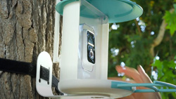 A closeup of a white and light pastel green bird feeder with a camera being strapped to a tree.