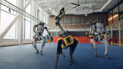 dancing humanoid and four legged robots