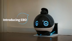 A mobile family robot called Ebo-X