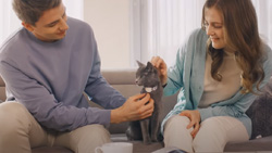 A couple sits on a couch petting a gray cat in between. The cat has a white collar on with a white round device in the front, like a wristwatch around the cat's neck.