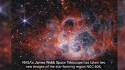 The James Webb Telescope images of NGC 604