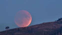 A view of a large reddish moon rising above the horizon.