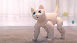 A life size white pet robot cat.