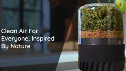 The Briiv Pro AI powered plant based air purifier