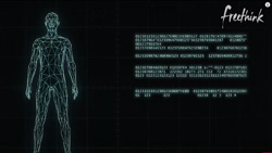 a digital representation of a human