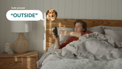 The FluentPet Connect - get texts from your talking dog or talking cat