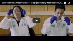 crispr