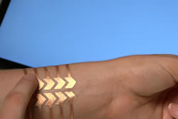 bio tattoo