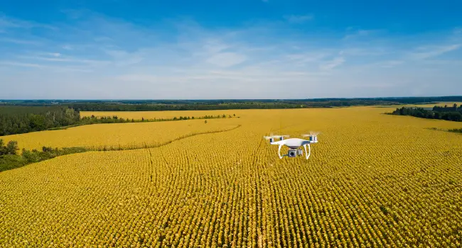 agriculture drone spraying crops