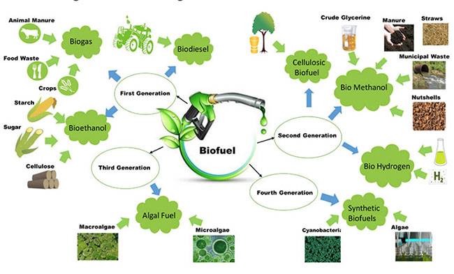 biofuel flow chart