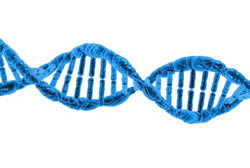 Home DNA Kit