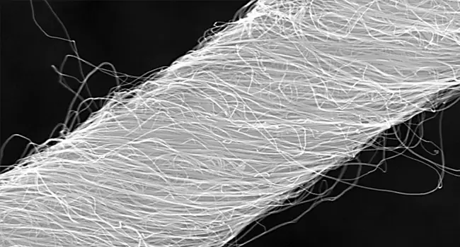 nanotube