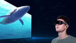 A person on the right is wearing black glasses looking at a tv screen on the left with a whale emerging from the screen