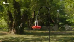 Birdfy Hum Feeder Mini hummingbird feeder