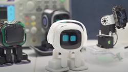 Desktop pet robot