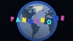 The Human Pangenome