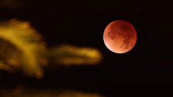 A view of a red full moon at night