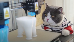 A closeup of a gray and white cat watching a 3d printer that is printing a white plastic model.
