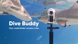 Dive Buddy underwater camera system