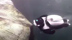 CudaJet Underwater Jetpack